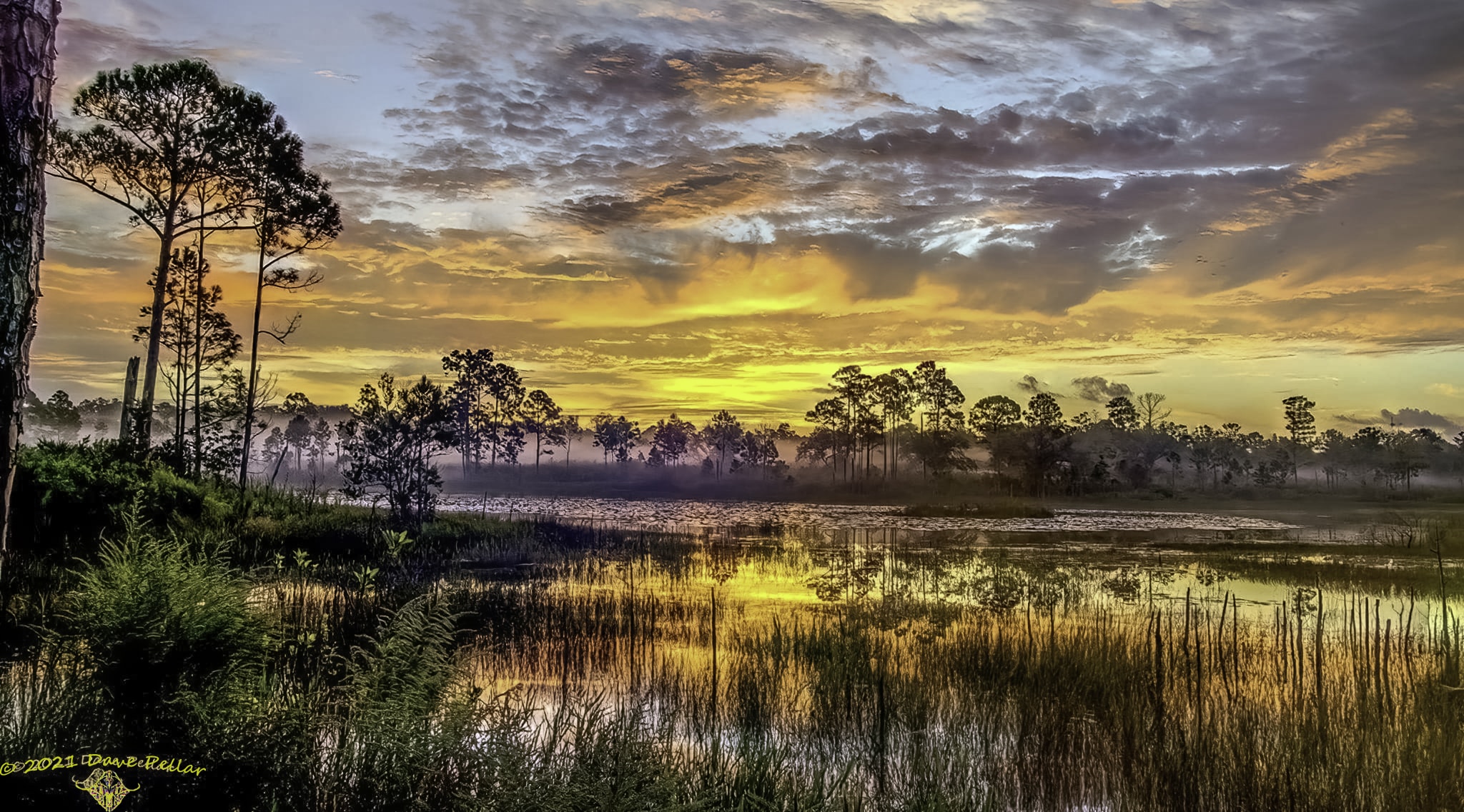 Preserve or Develop? The Race Against Time to Protect Florida’s Wildlife Corridor